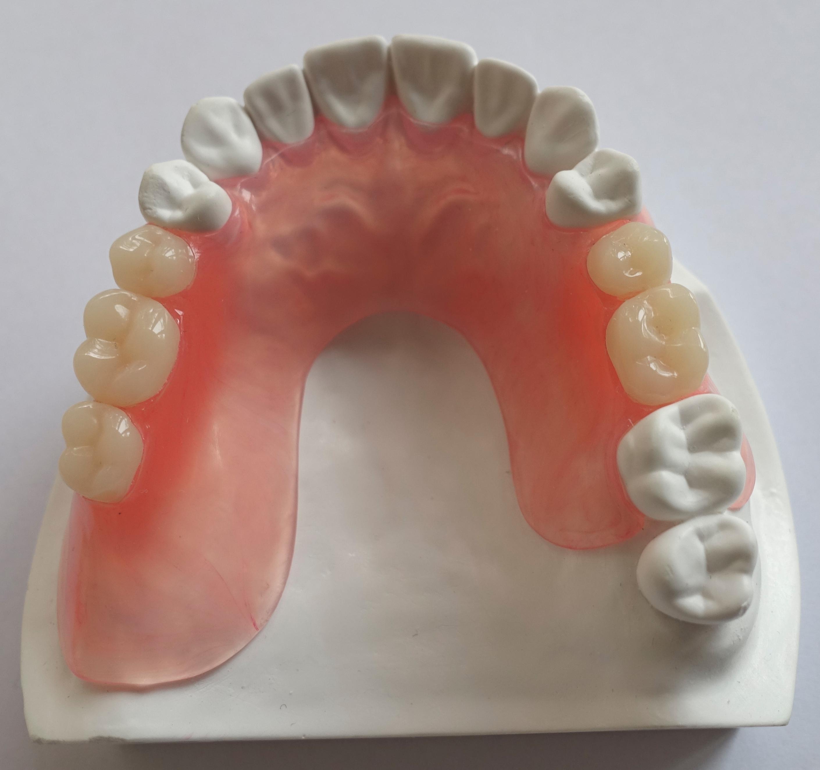 verliezen deadline Clancy Flexibele protheses - DentallXS